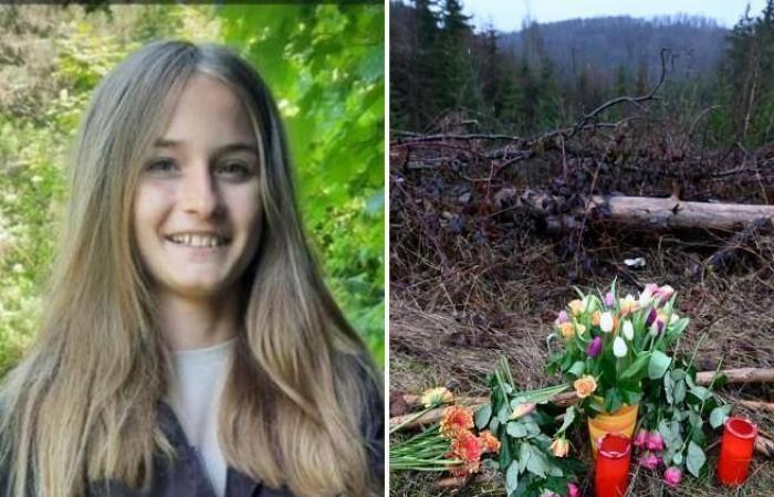 Freudenberg, Luise, de 12 años, asesinada en el bosque por dos amigos de su edad con “varias puñaladas” – Corriere.it