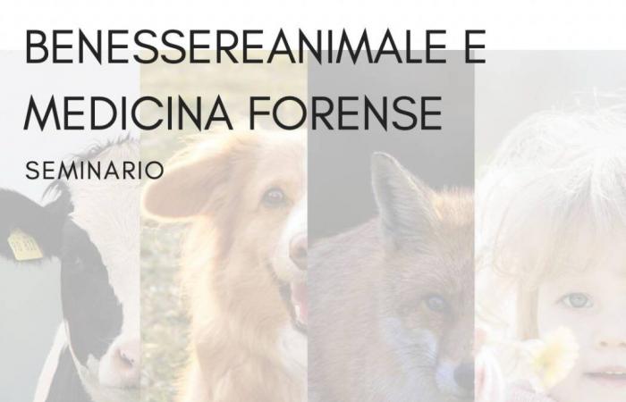 Velletri – Un seminario sobre bienestar animal en las granjas y seguridad alimentaria en el Palacio de Justicia