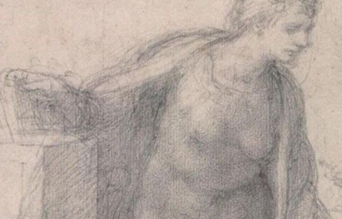 El amor que da agua a las palomas de Luigi Bienaimé – Vuelve Michelangelo Buonarroti
