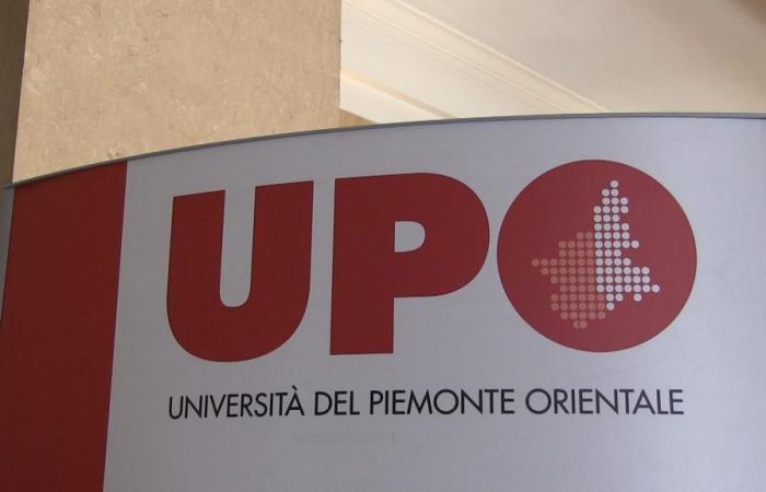 Universidad del Este de Piamonte: informe de AlmaLaurea sobre los estudiantes