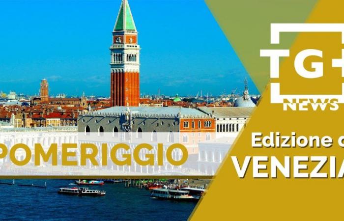 Carterista detenido en el centro histórico – TG Plus NEWS Venecia