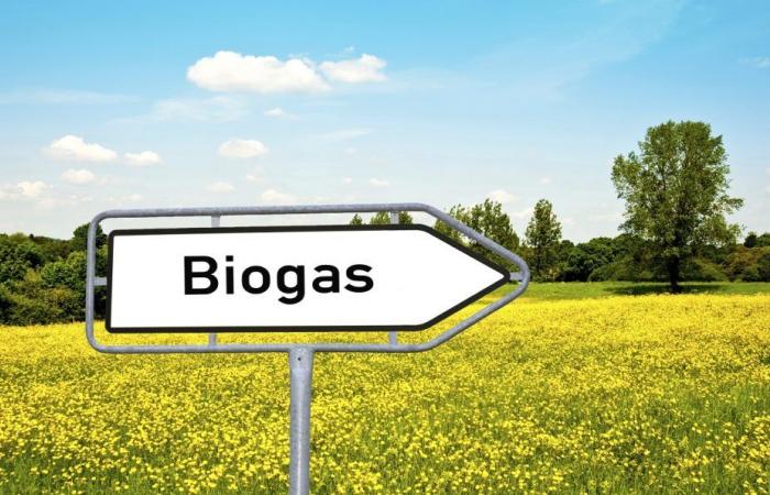 Biogás, las Cib Farming Days comienzan en Piamonte. Puertas abiertas al futuro de la agricultura