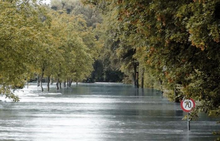 En la Gazzetta las contribuciones por las inundaciones en Emilia-Romaña, Toscana y Las Marcas