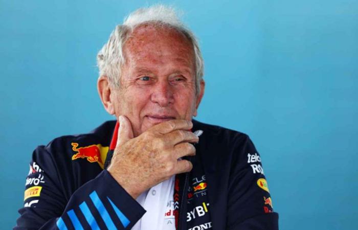 Marko confía: “Norris y Piastri son la mejor pareja de la F1” – Noticias