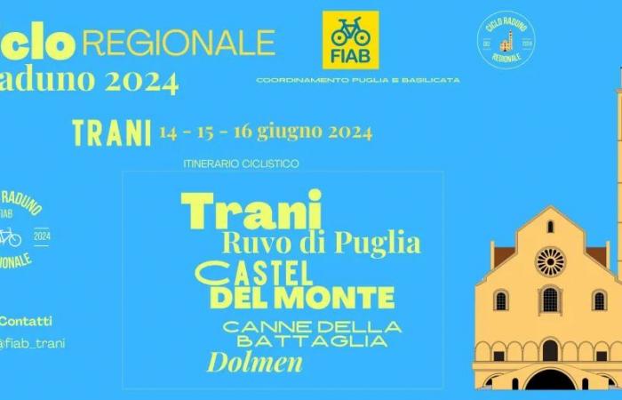 Encuentro de Fiab en Trani: «Mejorar el carril bici del Adriático durante las jornadas de cicloturismo»