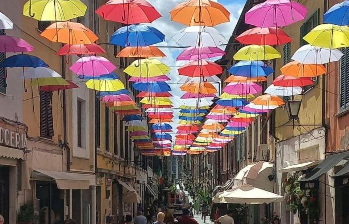 “Aquí está el arte de Mary Poppins”. El crítico Francesco Bonami critica los coloridos paraguas de Pietrasanta