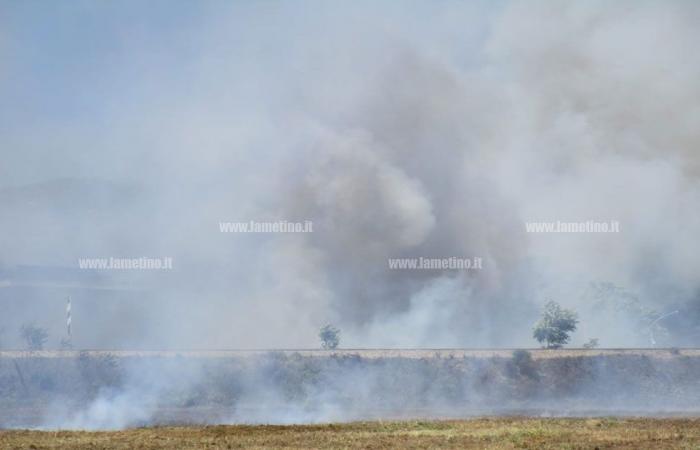Lamezia, secretario del PD, Masi: “Otro incendio en la zona del campamento romaní es prueba de un fracaso de la administración”