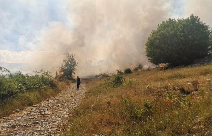 Incendio provocado en el pinar de San Benedetto en Perillis, en la zona de L’Aquila