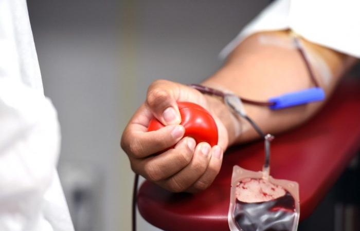 Día del donante, el presidente de Avis: «Primeras marcas de sangre en Italia, pero hay escasez de plasma» – Noticias Ancona-Osimo – CentroPagina