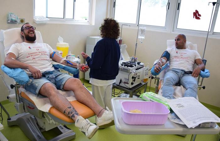 “Generosidad en la portería”, el rugby del Cus Siena en el campo para el Día Mundial del Donante de Sangre