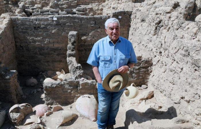 El arqueólogo Zahi Hawass listo para el Egizio en Turín: “Sería un placer trabajar con Greco”