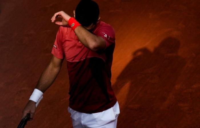 “Le falté el respeto a Djokovic”: el campeón de tenis ofrece un mea culpa