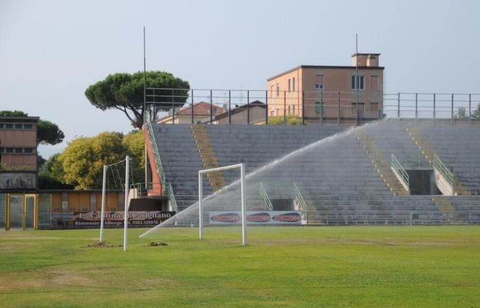 Lucchese El Grupo Bulgarella está listo para construir el estadio Il Tirreno