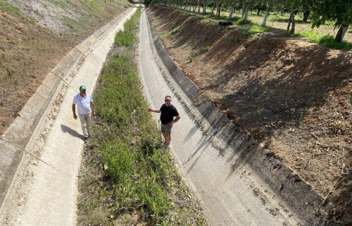 Cia Due Mari: en la zona de Taranto los canales están secos, Basílicata deja de jugar con dignidad a los agricultores de Apulia
