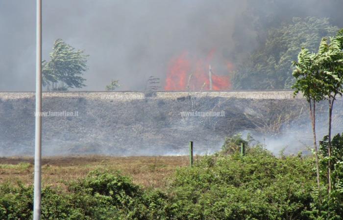 Lamezia, gran incendio en via Perugini: molestias en la ciudad por el humo – Vídeo