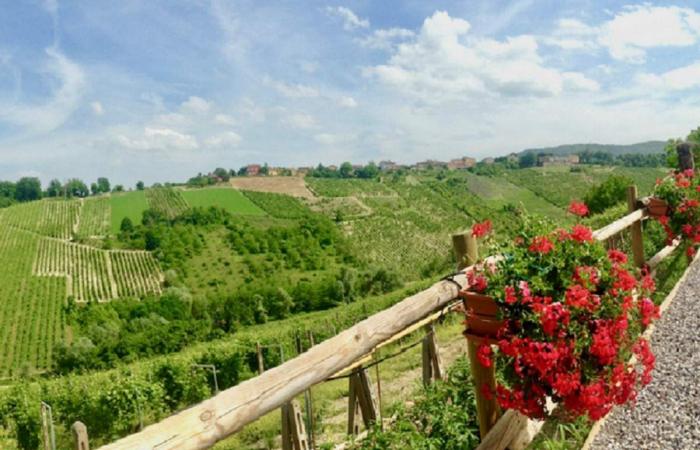 Agenda del vino, se celebra el Día Mundial del Lambrusco en Matera