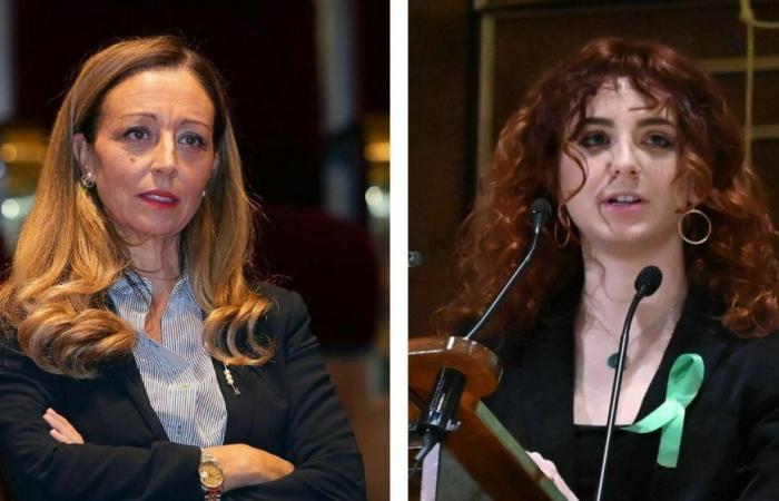 Choque en la Universidad de Padua, Emma Ruzzon: «Los barones sionistas en el Senado». Rector Mapelli: «Palabras vulgares y ofensivas»