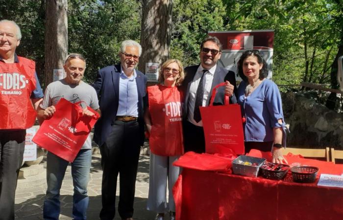 FOTOS y VIDEOS | Inaugurado el Banco de Donantes en la Villa Comunale de Teramo – ekuonews.it