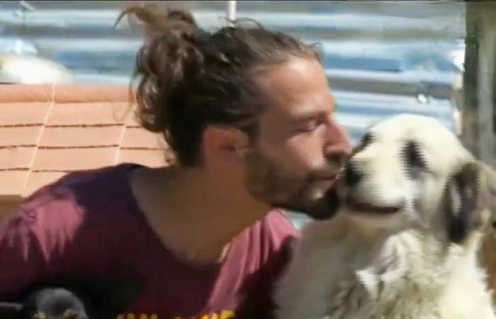 Crotone: Giandomenico, multado con 1.500 euros por la ASP por salvar y cuidar perros callejeros