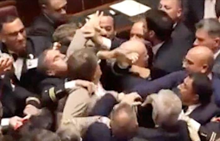 Leonardo Donno no es la víctima de la pelea en la Cámara, sino una mujer y con ella sus compañeros golpeados – El vídeo