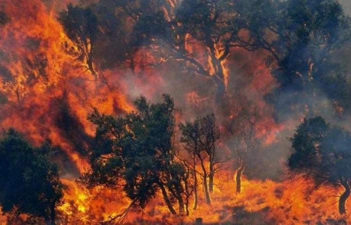 La Región de Campania lanza el plan contra los incendios forestales