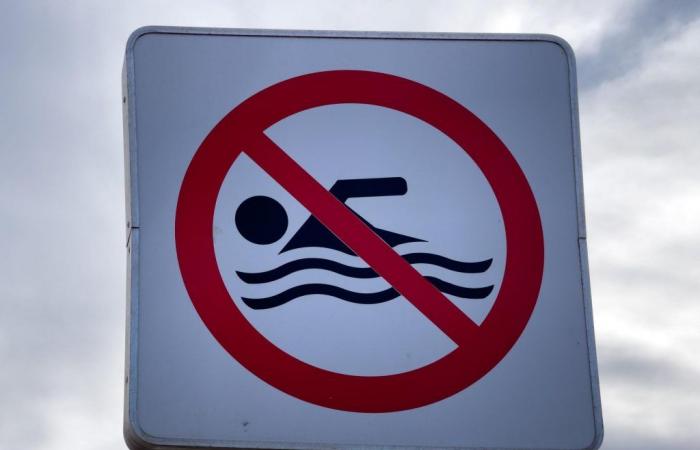 Los valores del agua vuelven a la normalidad, el baño está prohibido solo en 3 lugares