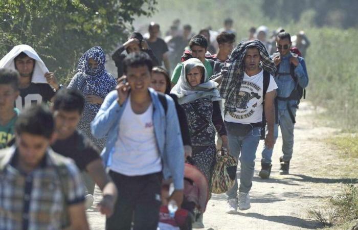 Migrantes, la ruta de los Balcanes avanza hacia el Friuli occidental. «Urgencia en la frontera, necesitamos salvaguardias y un acuerdo con Eslovenia»