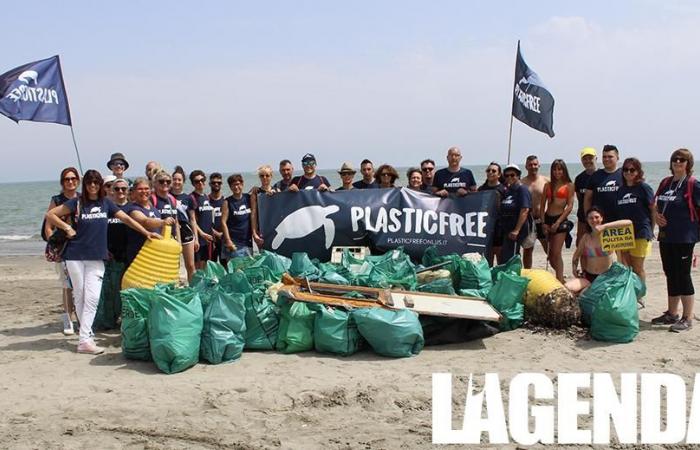 el fin de semana los voluntarios Libres de Plástico • La Agenda