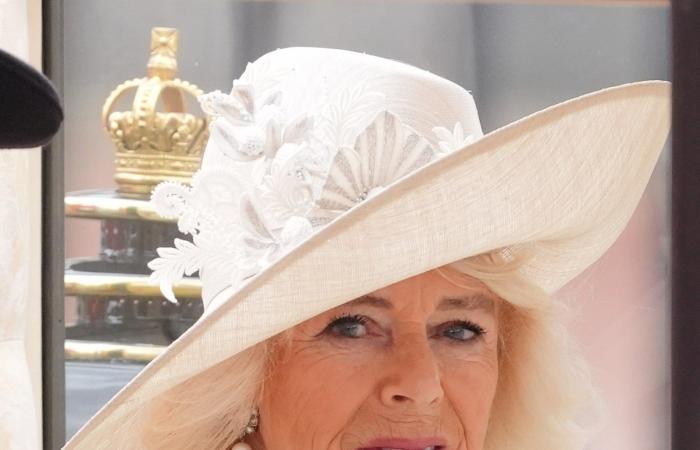 La reina Camilla con su corte emplumado y menos es más maquillaje es el ícono de Trooping the Color 2024