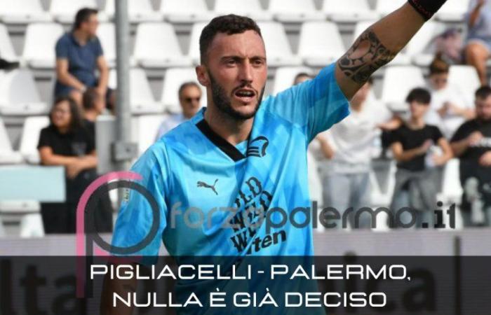 Pigliacelli – Palermo: cambio radical, todavía no hay nada decidido. El portero quiere dejar hablar al campo