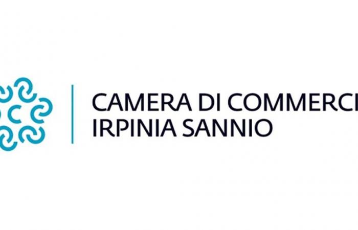 Cámara de Comercio de Irpinia-Sannio, reunida el 17 de junio sobre la jurisprudencia reciente en materia de contratos bancarios