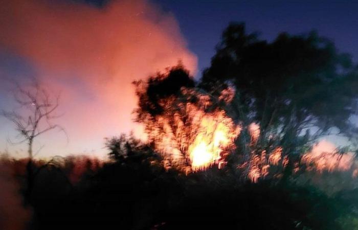 Incendios de vegetación en la zona de Campofelice di Roccella, intervinieron bomberos y voluntarios – BlogSicilia