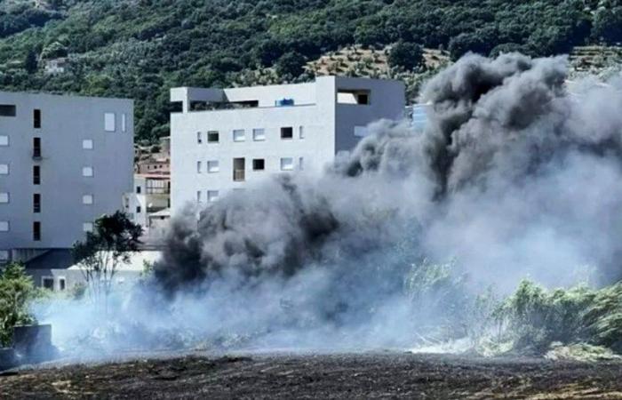 Incendio de Lamezia Terme en Scordovillo, Di Matteo: “La ciudad secuestrada por un puñado de delincuentes”