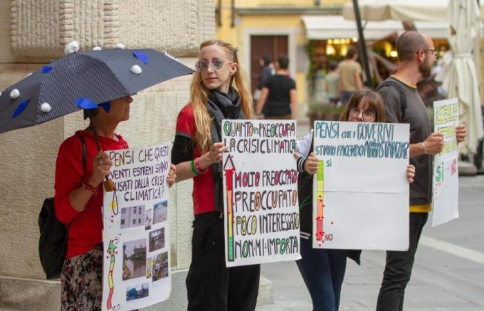 Pancartas y volantes: la procesión de activistas climáticos en la plaza de Udine