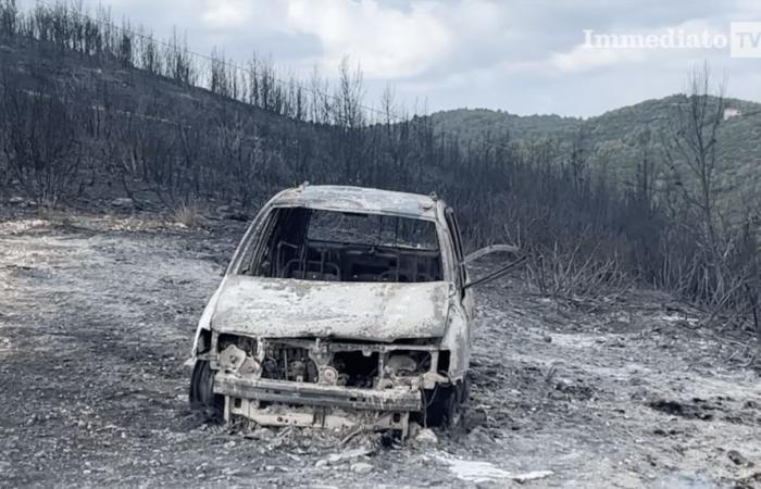 Pesadilla de los incendios forestales, la policía forestal está preparada para la campaña de lucha contra el fenómeno