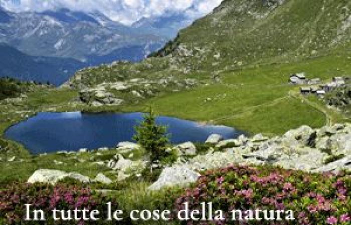 Festival Bellagio y Lago Como, otro verano de música