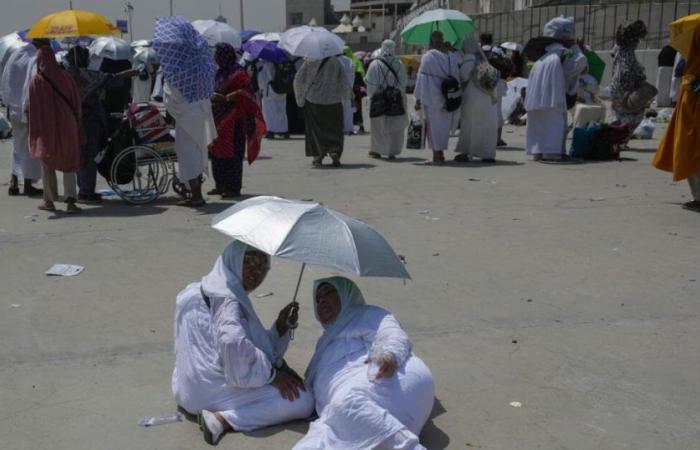Temperaturas cercanas a los 50° en Arabia Saudita: al menos 19 peregrinos muertos camino a La Meca