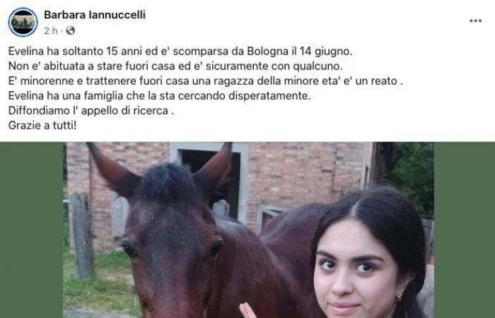 Evelina, desaparecida de su casa a los 14 años, está siendo buscada en Bolonia. El padre: “Había conocido a un chico”