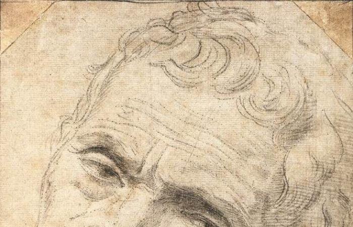 La verdad revelada por el tiempo de Bernini – Miguel Ángel Buonarroti está de vuelta