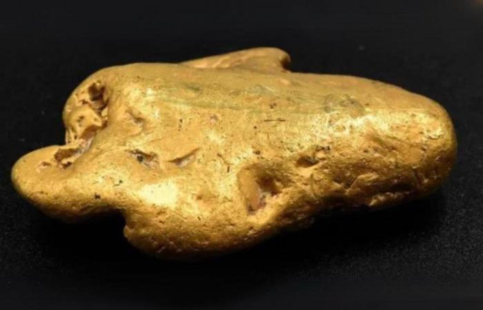 Encuentra una pepita de oro gracias al detector de metales: el valor es impresionante
