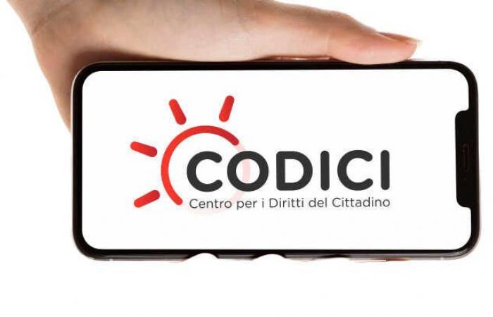 Elecciones en Civitavecchia, peticiones de Codici a los candidatos a la alcaldía • Terzo Binario News