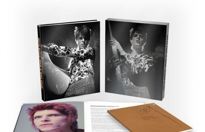 Reseña de David Bowie, la estrella del Rock n Roll
