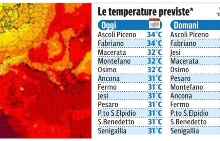 Aquí están las ciudades con la pegatina naranja. La ola de calor en zonas internas con picos de 36-37° C