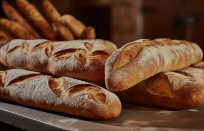 Pan y panaderos de Italia 2025: Gambero Rosso premia a los mejores profesionales de Abruzzo y Molise – Amolivenews