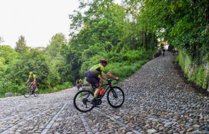 Éxito más allá de las expectativas para Varese Van Vlaanderen: 391 en las murallas de la provincia