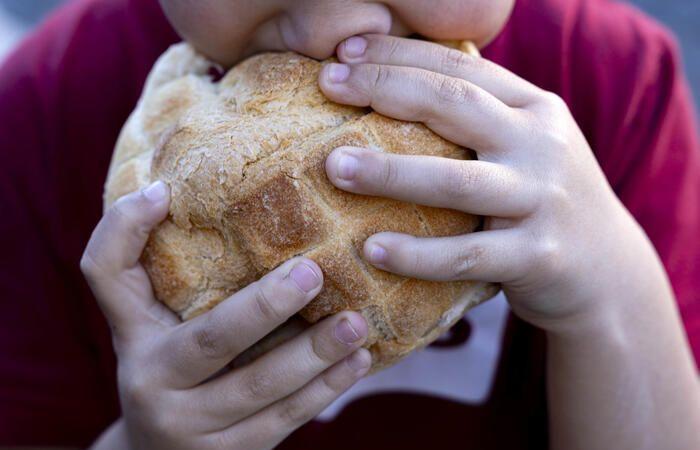 Pan y panaderos de Italia 2025 Gambero Rosso. Las Marcas, 2º en la cima – Noticias