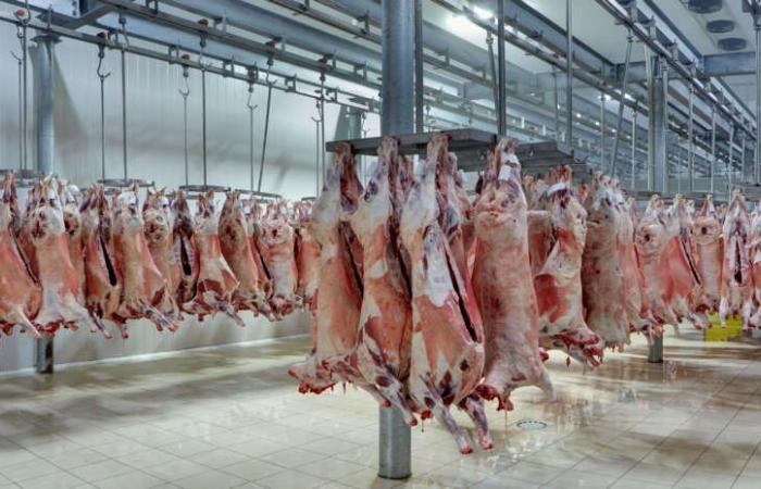 Los precios de la carne de cerdo vuelven a subir en mayo