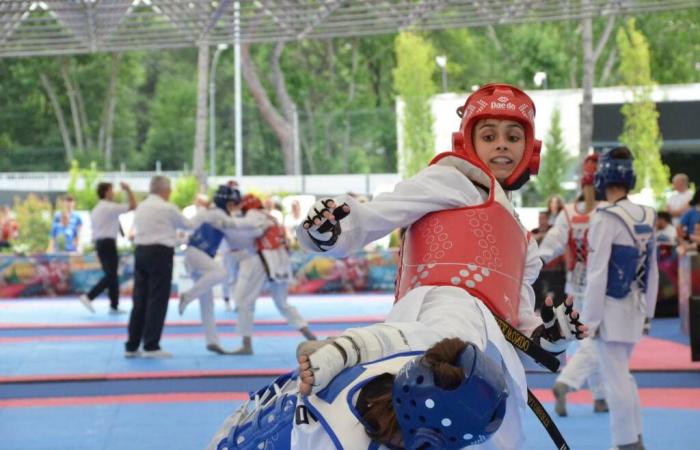 Taekwondo, dieciocho medallas de la Copa de Italia para la selección de Liguria