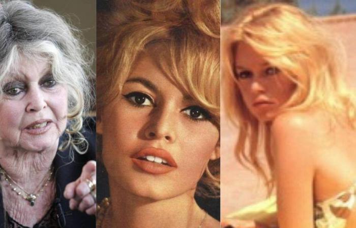 ¿Qué hace Brigitte Bardot hoy? Edad, lugar donde vive, marido actual, amores, abandono de su hijo, intentos de suicidio y lugar donde vive. La miniserie dedicada a BB llega esta noche a la televisión