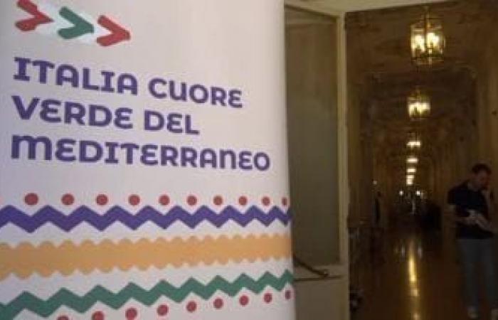 Plan Mattei y el reciclaje, un papel protagonista de Italia en el Mediterráneo